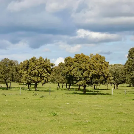 Cerro Cincho Rural * Peraleda de la Mata